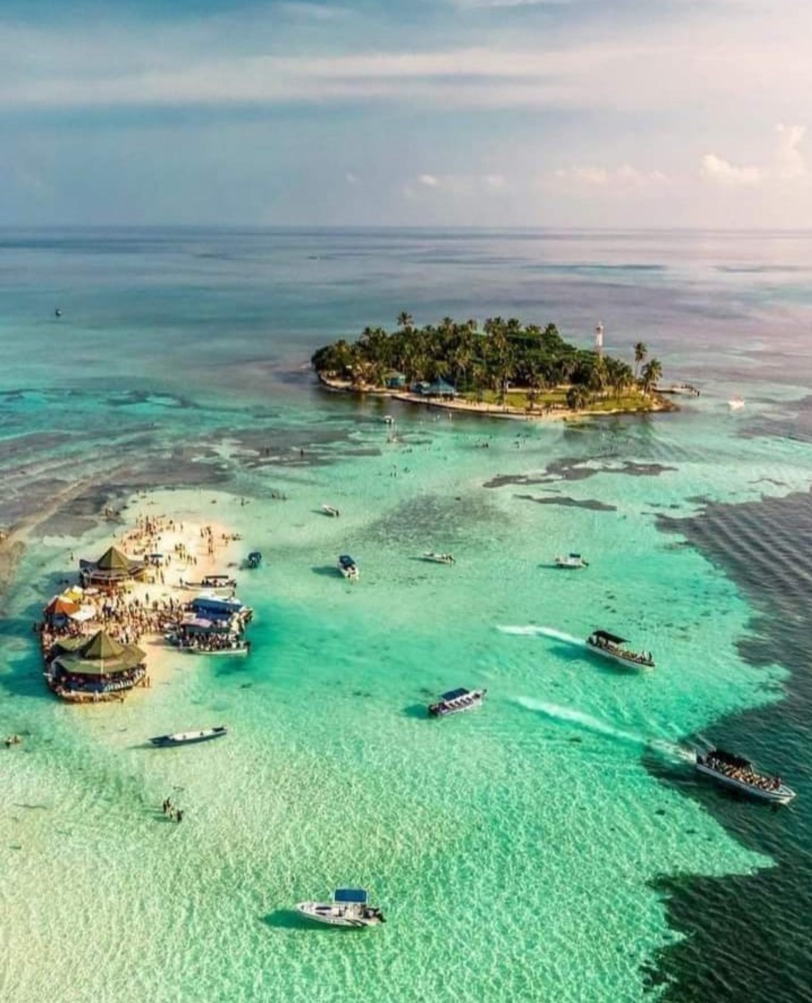 Vida Marina en San Andrés